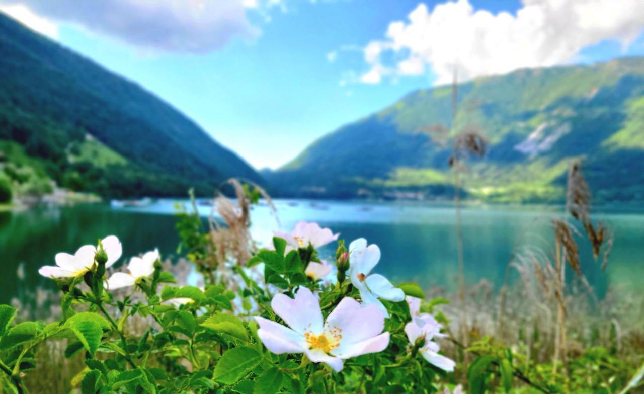 Emozioni Al Lago Фарра д'Альпаго Экстерьер фото